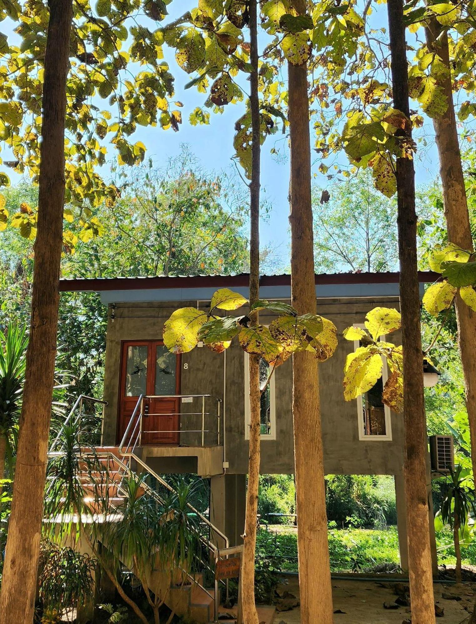 Rimtharnn Homestay Maewin Mae Wang エクステリア 写真